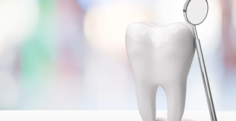 Discovering the Intriguing Secrets of Dental Anatomy Discovering the Intriguing Secrets of Dental Anatomy